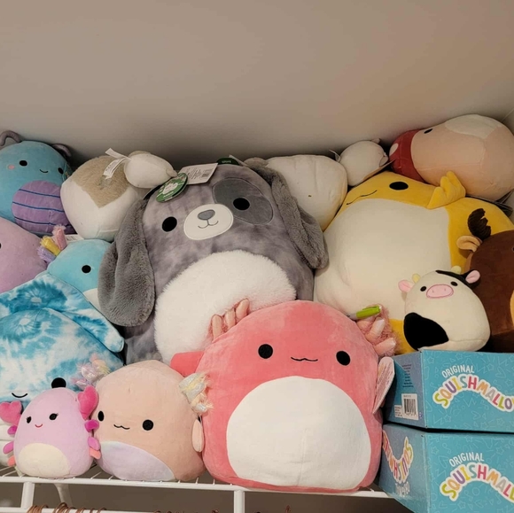 Squishmallows - Picture 5 of 5